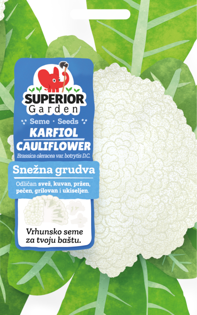 illustration of top of cauliflower snezna grudva on bag front